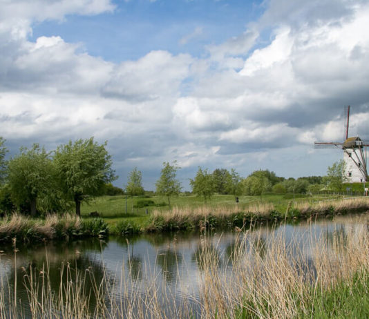 Brügge sehen … und Flandern genießen: Unterwegs im kulinarischen Eck Belgiens Windmühle in der Nähe von Brügge