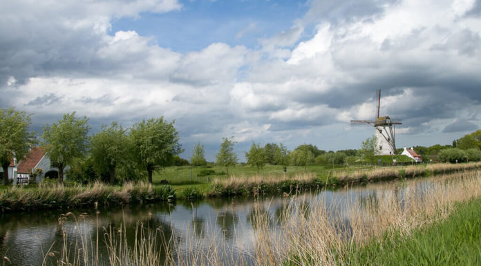 Brügge sehen … und Flandern genießen: Unterwegs im kulinarischen Eck Belgiens Windmühle in der Nähe von Brügge