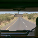 Safari Auto Roadtrip