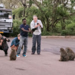 TP_Afrika_Tansania_Ngorongoro_small_IMG-7830