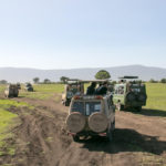 TP_Afrika_Tansania_Ngorongoro_small_IMG-7975
