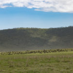 TP_Afrika_Tansania_Ngorongoro_small_IMG-8193