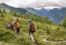 Aktiv- und Genussreisen im Gasteinertal: Wandern und Kulinarik im Zeichen der Elemente Wandern am Zirbenweg über Bad Gastein