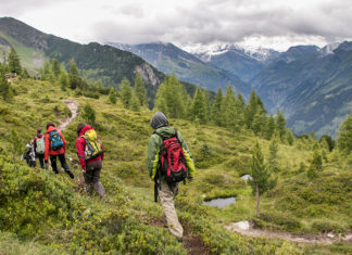 Aktiv- und Genussreisen im Gasteinertal: Wandern und Kulinarik im Zeichen der Elemente Wandern am Zirbenweg über Bad Gastein