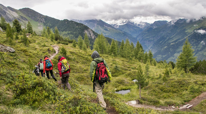 Aktiv- und Genussreisen im Gasteinertal: Wandern und Kulinarik im Zeichen der Elemente Wandern am Zirbenweg über Bad Gastein