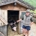 Schweinderl Pottinger Alm in Sportgastein