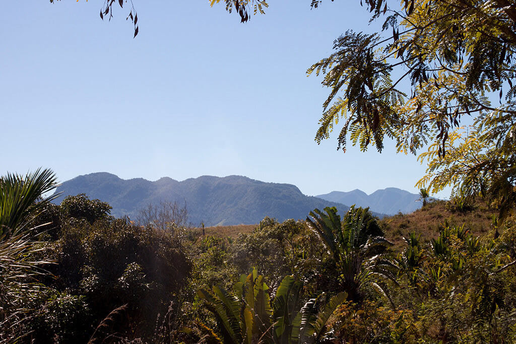 Landschaft Madagaskar tropisch