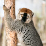 TP_Madagaskar_04_Morondava_small_IMG-0982