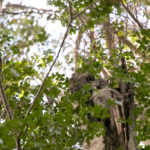 TP_Madagaskar_06_Tsingy de Bemaraha_small_IMG-1118