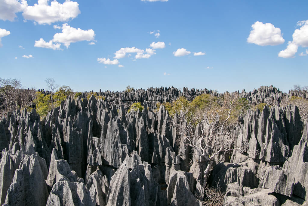 Tsingy de Bemaraha