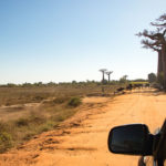 TP_Madagaskar_06_Tsingy_Baobaballee_small_IMG-1001