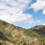 Landschaft Andasibe Antananarivo Weg