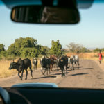 TP_Madagaskar_on_the_road_021_Miandrivazo-Morondava_small_IMG-0870