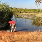 TP_Madagaskar_05_Baobaballee_Rueckfahrt_small_IMG-6720