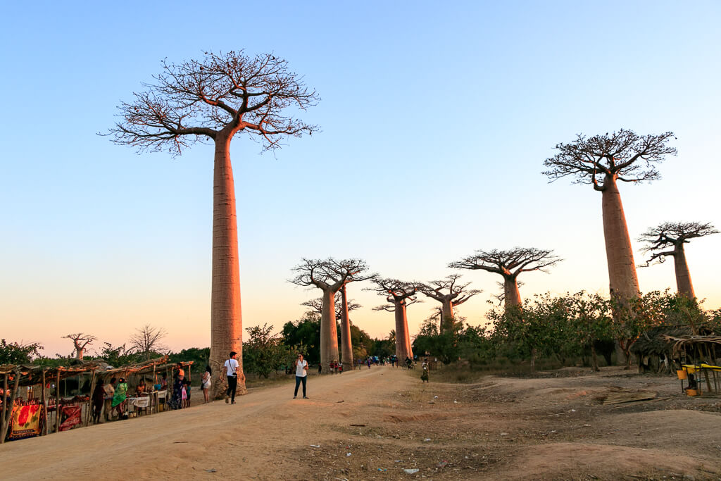 Touristen "Massen" in Madagaskar - alles relativ