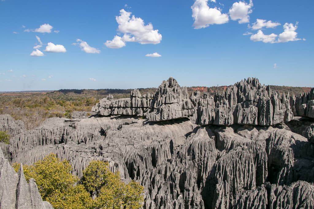 Kalksteinfelsen im Tsingy de Bemaraha Nationalpark