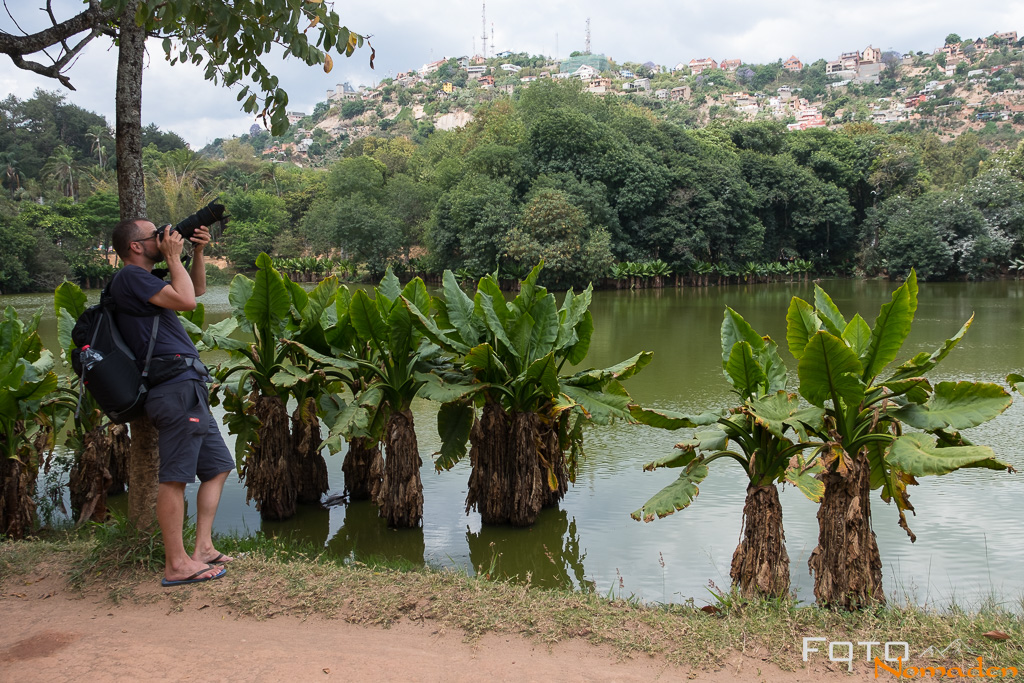 Vögel fotografieren in Madagaskar