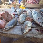 fisch_markt_antsiranana_madagaskar_100720