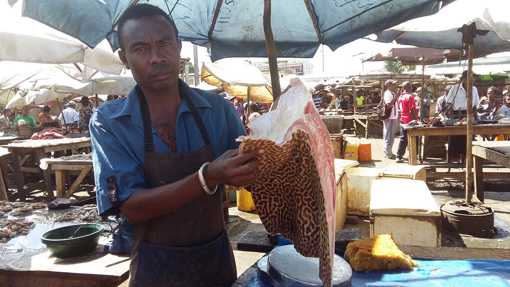 rochen markt antsiranana