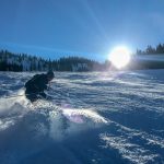 TP_UpindieBerge_Skifahren_small_IMG-0678