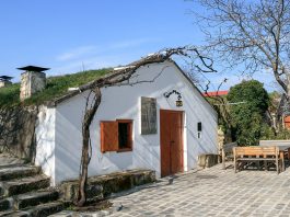 Aktiv- und Genussreisen am Neusiedler See: Pannonische Vielfalt rund um Wein, Kulinarik und Natur Kellergasse in Purbach am Neusiedlersee