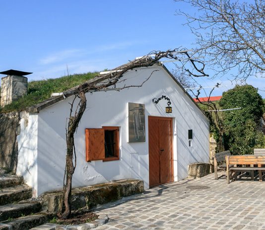 Aktiv- und Genussreisen am Neusiedler See: Pannonische Vielfalt rund um Wein, Kulinarik und Natur Kellergasse in Purbach am Neusiedlersee