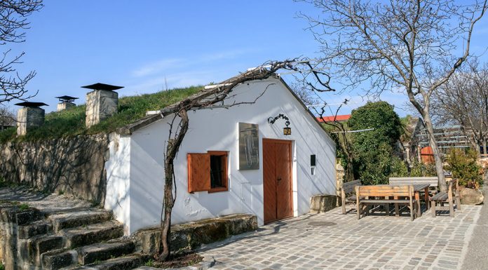 Aktiv- und Genussreisen am Neusiedler See: Pannonische Vielfalt rund um Wein, Kulinarik und Natur Kellergasse in Purbach am Neusiedlersee