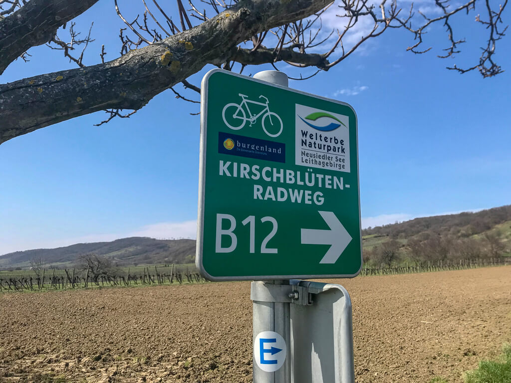 Kirschblütenradweg am Neusiedler See