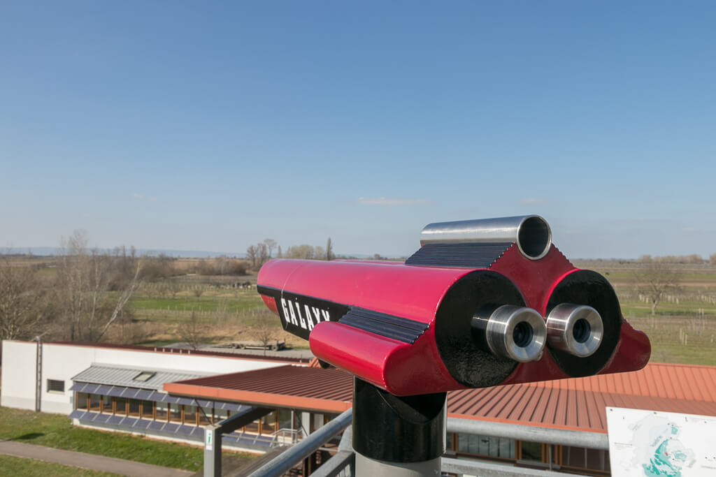 Aussichtsturm im Nationalpark Neusiedler See - Seewinkel