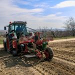 Rebstock setzen mit dem Traktor