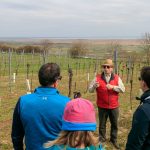 Weinbau-Lehrstunde mit Reinhold Schwarz