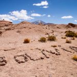 20140913_132713_071_Salar_de_Uyuni_IMG_3612