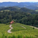 TP_Grenzgenialer_Roadtrip_Suzuki_Steiermark_Slowenien_small_IMG-4474