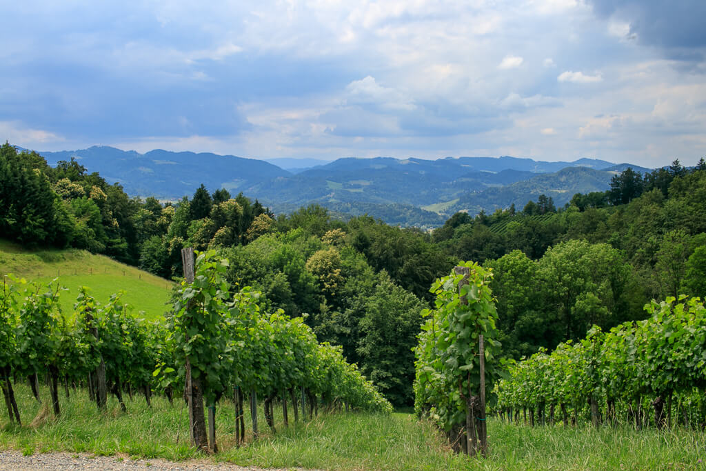 Südsteirische Weinstraße