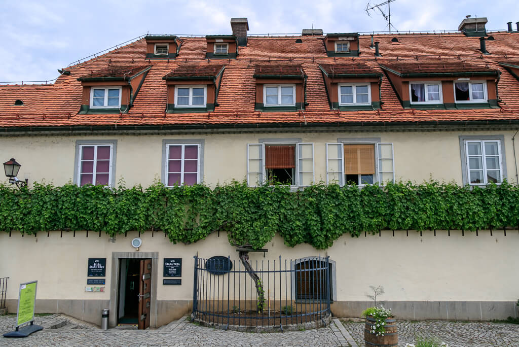 Haus der Alten Rebe Maribor
