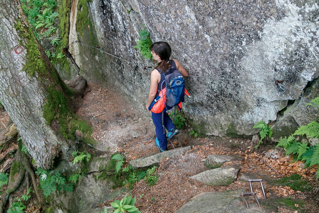 Steig im Pohorje-Gebirge am Weg zum Wasserfall Veliki Sumik