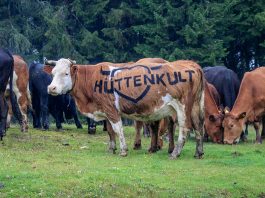 Hüttenkult im Herzen Kärntens: Wandern und Kulinarik im Herbst Hüttenkult in Kärnten