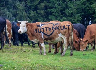 Hüttenkult im Herzen Kärntens: Wandern und Kulinarik im Herbst Hüttenkult in Kärnten