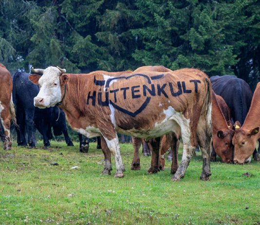 Hüttenkult im Herzen Kärntens: Wandern und Kulinarik im Herbst Hüttenkult in Kärnten