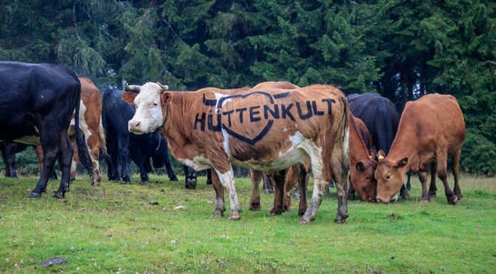 Hüttenkult im Herzen Kärntens: Wandern und Kulinarik im Herbst Hüttenkult in Kärnten