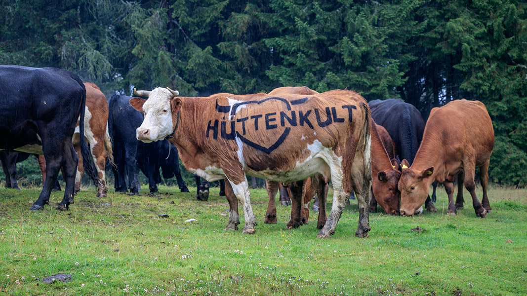 Hüttenkult in Kärnten