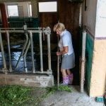 Landwirtin Johanna Krenn kümmert sich einstweilen um die Stallarbeit - und lädt auch ihre Urlaub am Bauernhof Gäste ein, ihr gern dabei zu helfen!