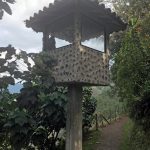 TP_Flusswanderung_Envigado_Medellin_11