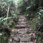 TP_Flusswanderung_Envigado_Medellin_13