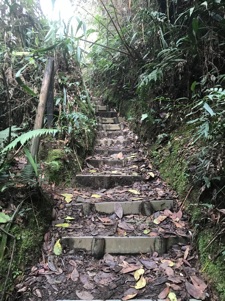 Wanderweg mit Stufen von La Catedral zum Salto del Angel