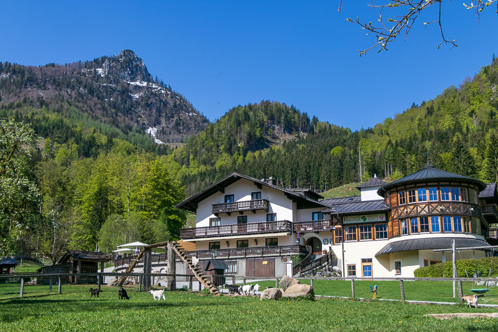 Almgasthof Kleefeld Wolfgangsee