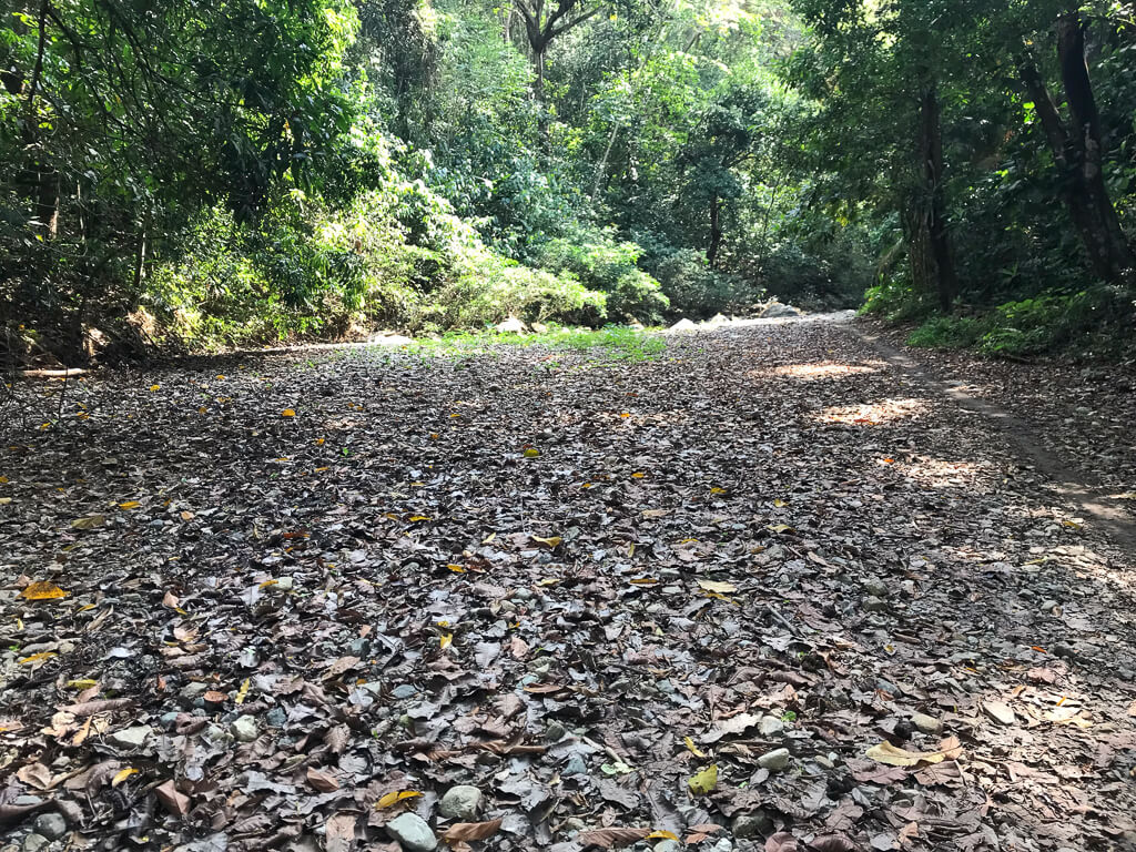 Ausgetrocknetes Flussbett in der Quebrada Valencia