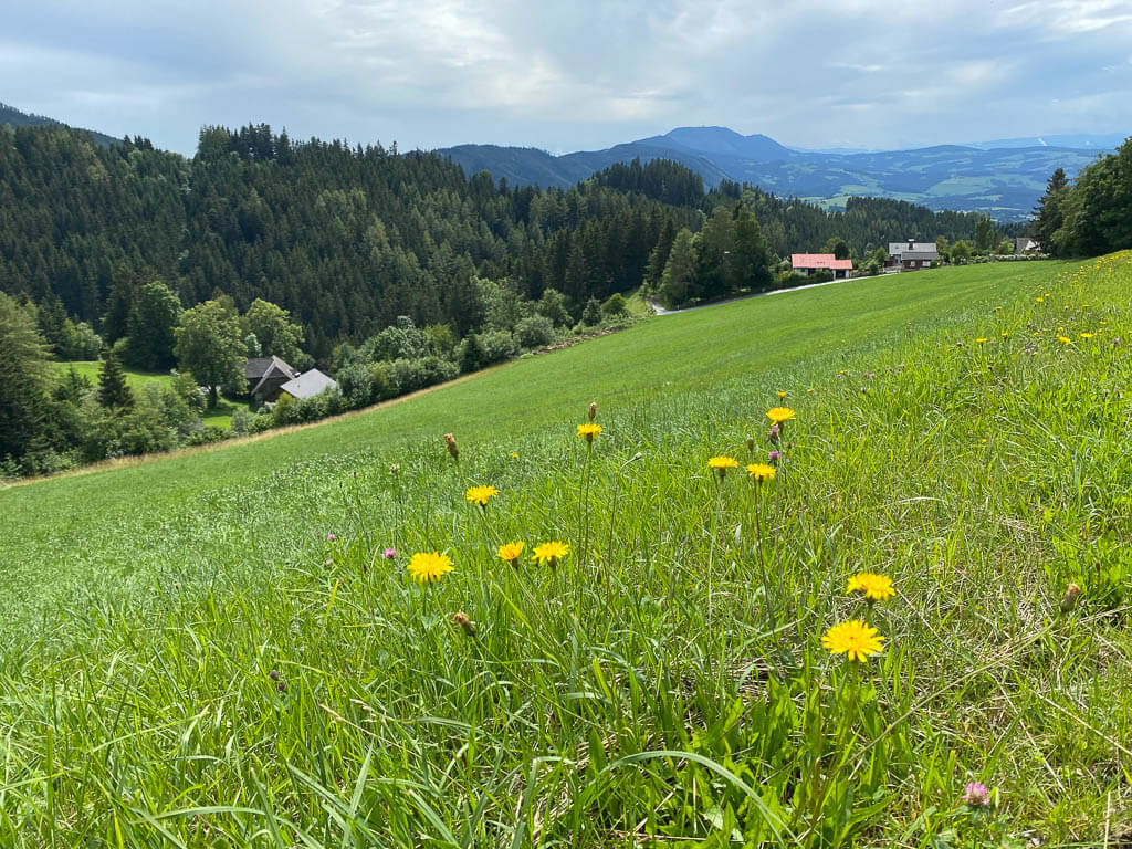 Steirisches Almenland mit Schöckl