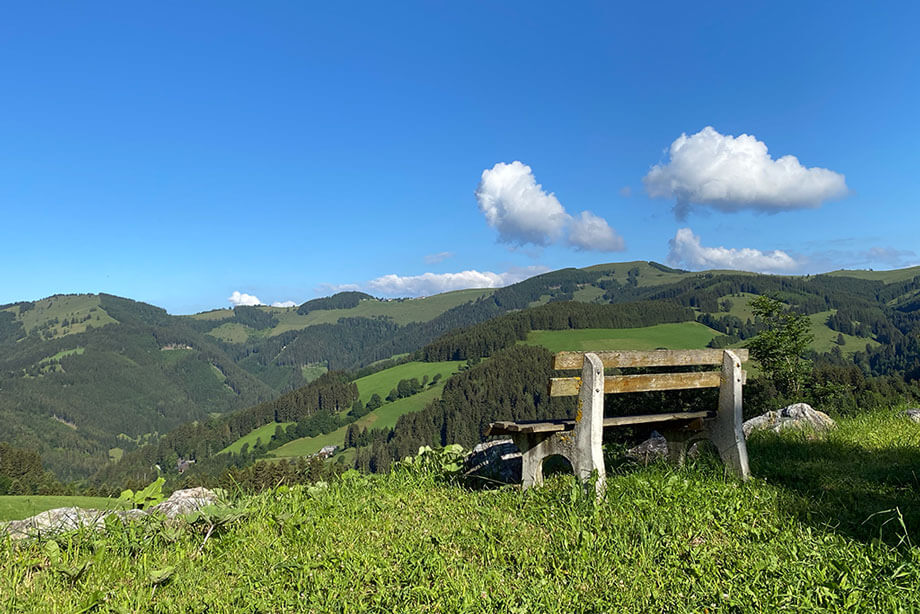 Urlaub im Naturpark Almenland