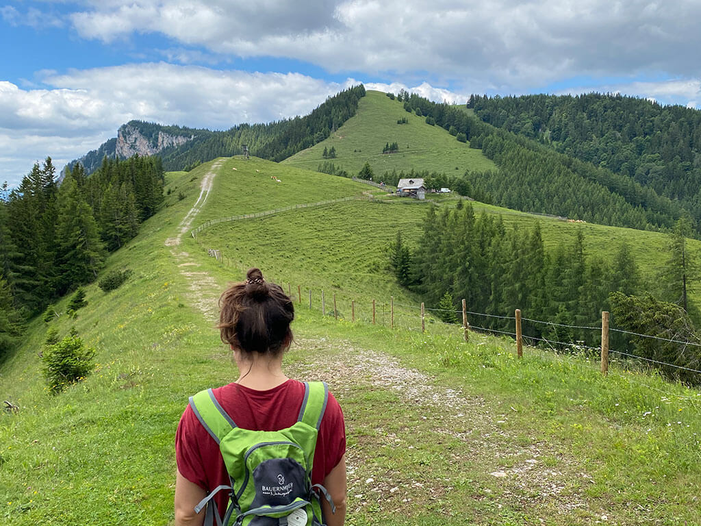 Wanderung Tyrnauer Alm zur Roten Wand